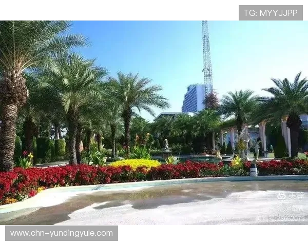 云顶赌城：最新赛事资讯与玩家交流平台，助你把握每一次赢的机会