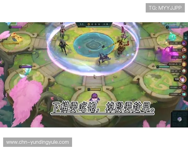 云顶投票官网入口官方公告，及时掌握投票入口的最新变化与官方通知